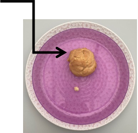 Picture 1.png