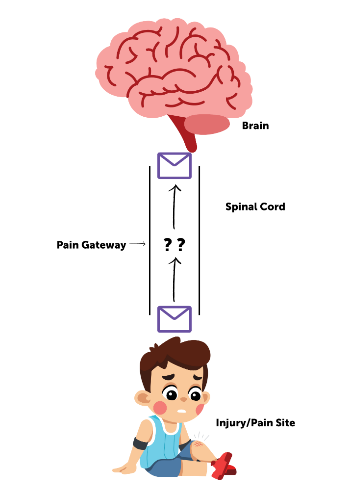 unnamed (12).png