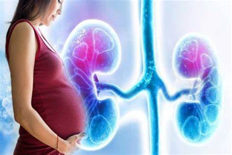 Kidney Disease new.png