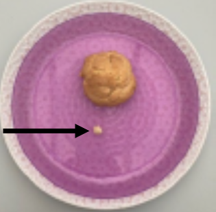 Egg_challenge_image.png