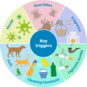 key-triggers-chart.png